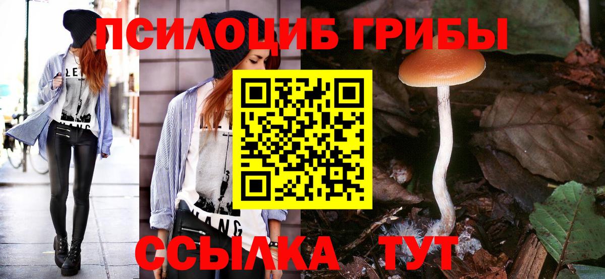 Галлюциногенные грибы Cubensis Вязники